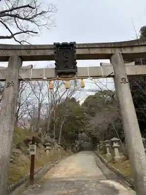 八阪神社の鳥居