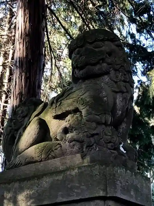 神明神社の狛犬