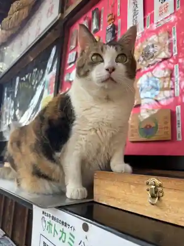 賀茂別雷神社(栃木県)