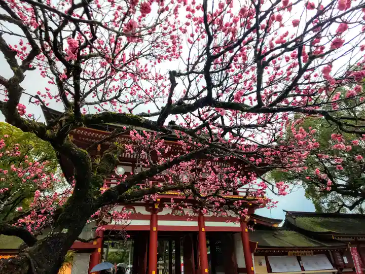 太宰府天満宮の自然