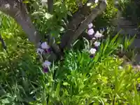 向福寺(神奈川県)