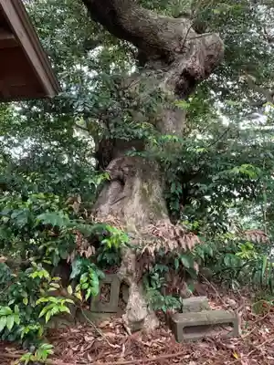 三福寺(千葉県)