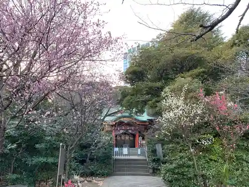 芝東照宮の自然