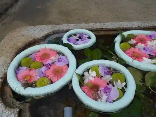 飯野八幡宮の手水