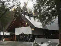 北海道神宮の本殿・本堂