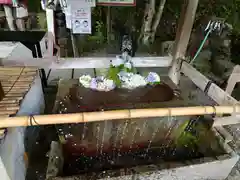 出雲大神宮の手水