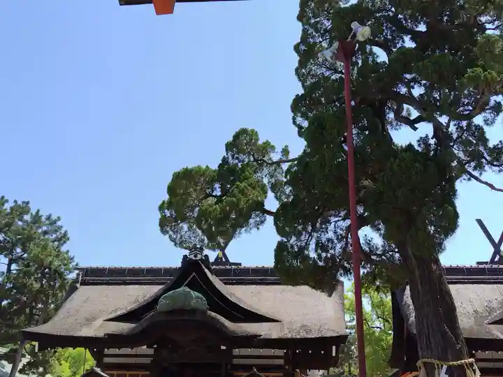 住吉大社(大阪府)