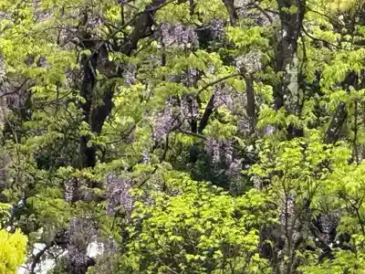 伊勢の国 四天王寺(三重県)