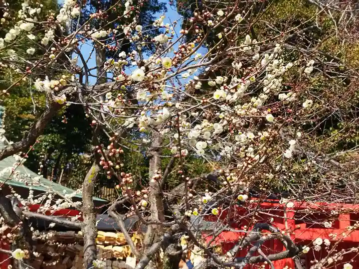 北野天満宮(京都府)