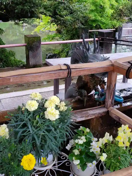 津島神社の手水舎