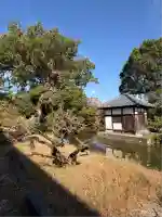 高伝寺(佐賀県)