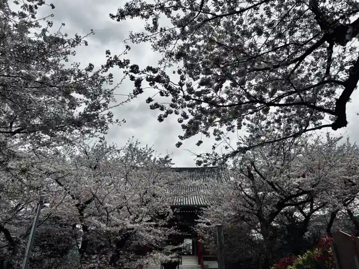 浄心寺(東京都)