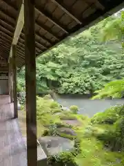 蓮華寺（洛北蓮華寺）の庭園