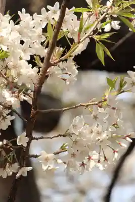 東光寺(埼玉県)