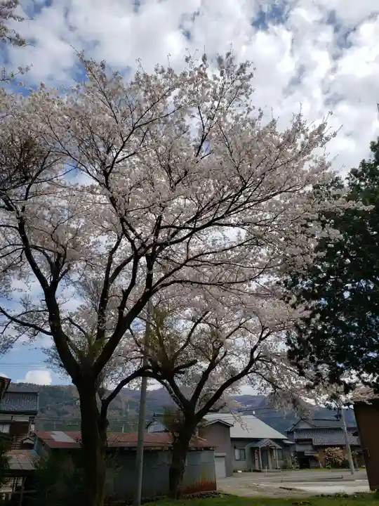 十二神社の自然