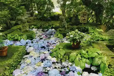 長谷寺(神奈川県)