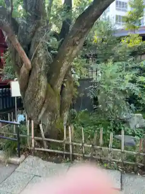 金王八幡宮の{uncategorized: "未分類", other: "その他", undefined: "問題あり", building: "その他建物", grave: "お墓", sacred_gate: "鳥居", guardian: "狛犬", statue: "像", buddha: "仏像", history: "歴史", nature: "自然", garden: "庭園", animal: "動物", pagoda: "塔", temizu: "手水舎", mountain_gate: "山門・神門", sanctuary: "本殿・本堂", subordinate: "末社・摂社", art: "芸術", scenery: "景色", jizo: "地蔵", ema: "絵馬", goshuin: "御朱印", omikuji: "おみくじ", items: "授与品その他", amulet: "お守り", goshuincho: "御朱印帳", eats: "食事", festival: "お祭り", votive_dance: "神楽", shichigosan: "七五三参", wedding: "結婚式", experience: "体験その他", initially: "初詣", around: "周辺", anti_infection: "感染症対策"}