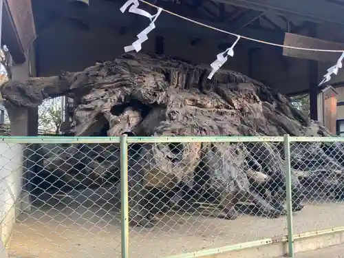 八坂神社(神奈川県)