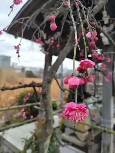 寛永寺不忍池弁天堂の庭園