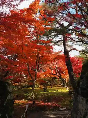 宝厳院(京都府)