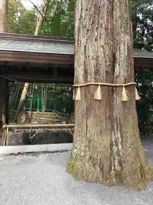 椿大神社(三重県)