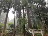 大宮温泉神社(栃木県)