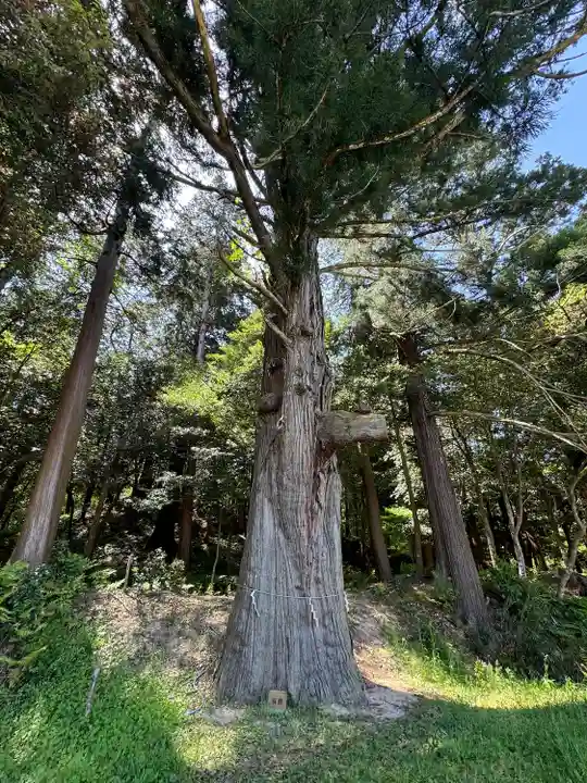 粟鹿神社(兵庫県)