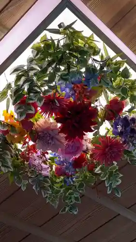 隨心院（随心院）(京都府)