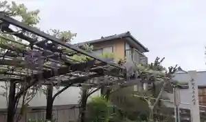 西方山極楽寺(岐阜県)(2024年04月17日(水) 23時28分01秒投稿)