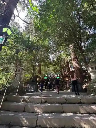 高千穂神社(宮崎県)