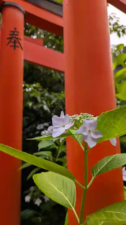 中山神社(京都府)