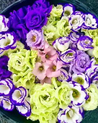 鹿島台神社の手水舎