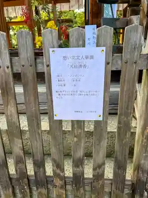 御霊神社（上御霊神社）(京都府)