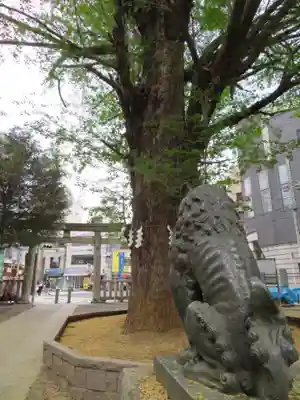 鳩森八幡神社の狛犬