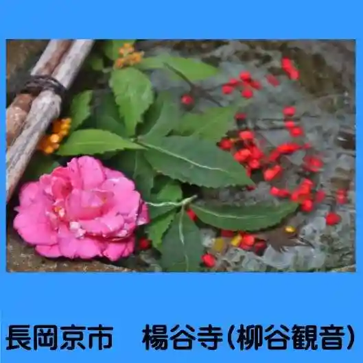 柳谷観音 楊谷寺(京都府)