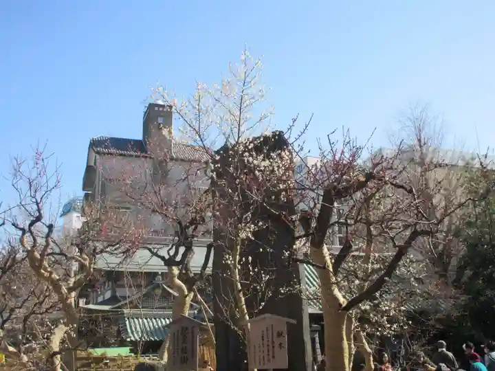 湯島天満宮(東京都)