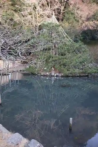 出雲大社神楽殿(島根県)