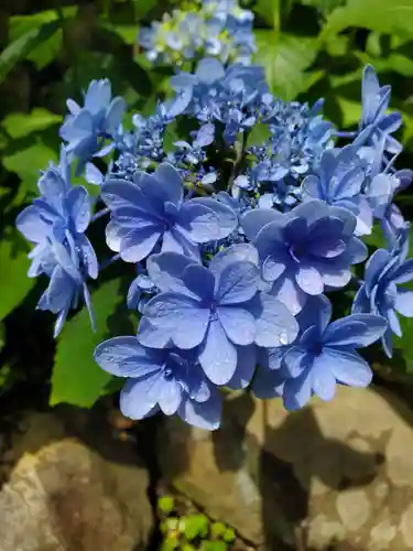 草薙神社の自然