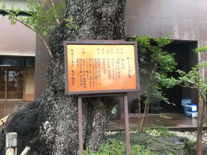 大光院(神奈川県)