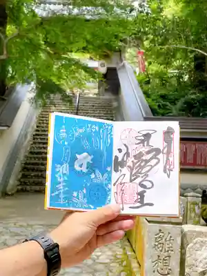 通常御朱印と左は限定御朱印。
限定御朱印は切り絵でした。
御朱印帳に貼って頂きました。