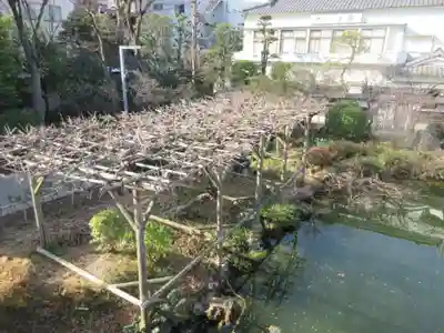 亀戸天神社(東京都)