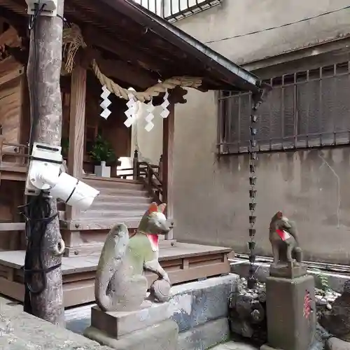 櫻稲荷神社の狛犬