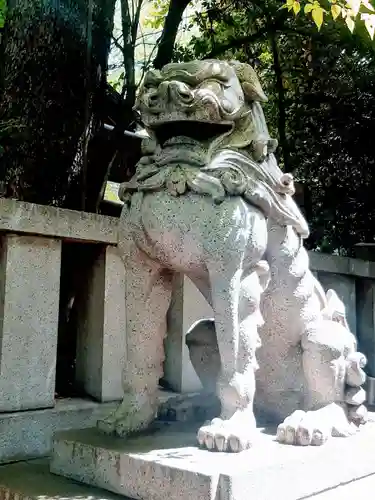 渋谷氷川神社の狛犬