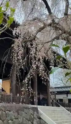東郷寺(東京都)