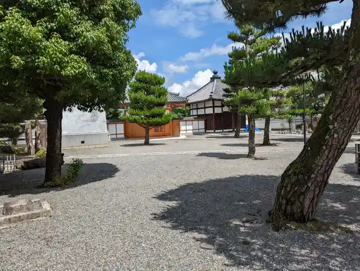 上善寺(京都府)