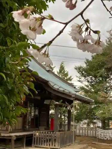 尉殿神社の本殿・本堂