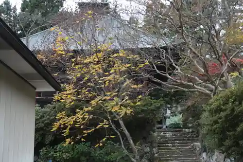 大悲山　観音寺(福島県)