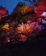 金蛇水神社(宮城県)