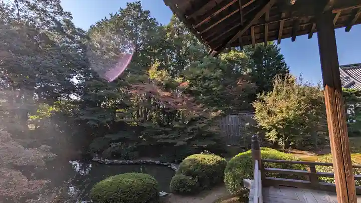 隨心院(随心院)(京都府)