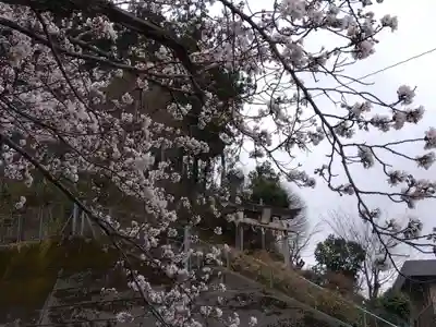 天日神社(福井県)